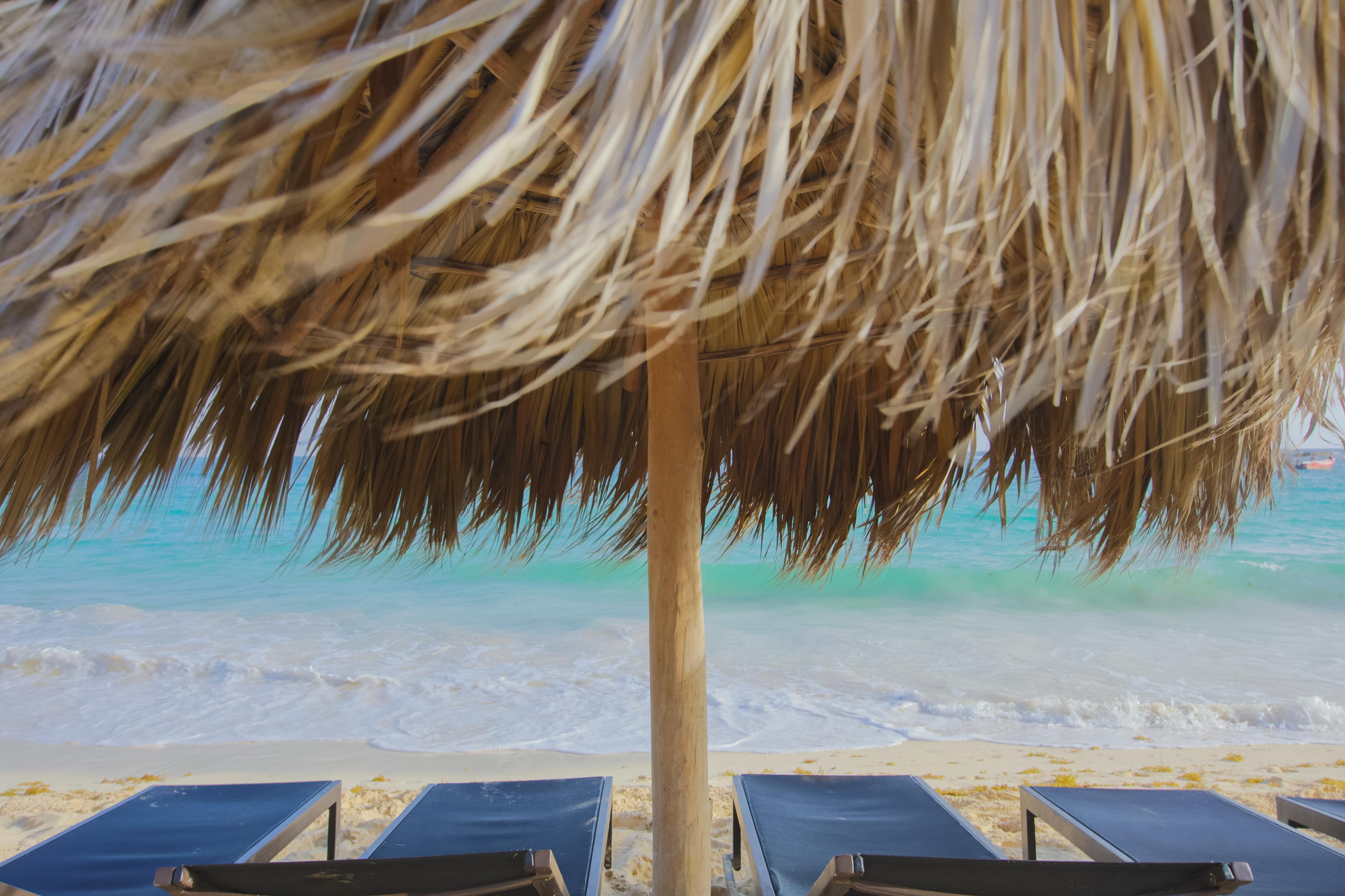 Royalton Punta Cana, An Autograph Collection All-Inclusive Resort & Casino بافارو المظهر الخارجي الصورة